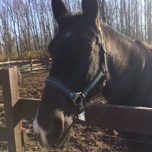 Meet your Posher, Jill